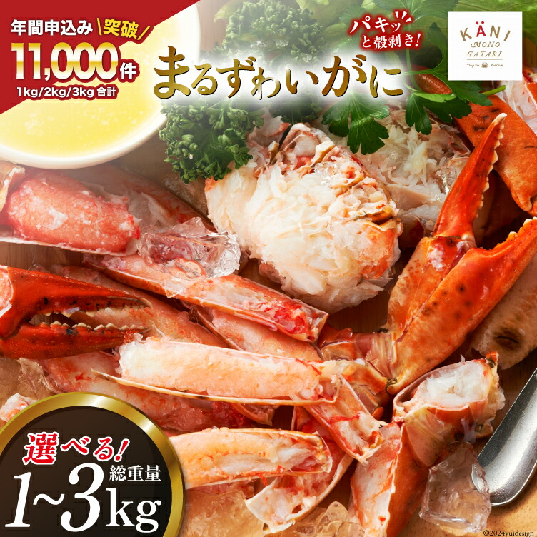 【ふるさと納税】 大人気！リピーター続出 まるずわいがに 肩脚肉 【内容量が選べる】[カネダイ 宮城県 気仙沼市 20564327] かに カニ かに物語 まるズワイガニ 丸ずわいがに マルズワイガニ 蟹 ずわい 魚介 魚介類 1kg 2kg 3kg