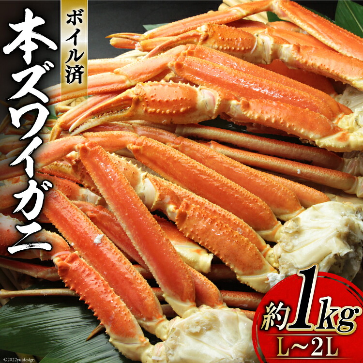 楽天市場 ふるさと納税 老舗カニ卸業者から直送 本ずわいがに 爪 約700g 切れ目入 カネダイ 宮城県 気仙沼市 ずわいがに ズワイガニ ずわい蟹 ズワイ蟹 ずわい ズワイ 蟹 カニ カニ爪 蟹爪 カニ爪肉 ボイル 宮城県気仙沼市 楽天市場 ふるさと納税 老舗カニ卸業者から直送 本ずわいがに 爪 約700g 切れ目入 カネダイ 宮城県 気仙沼市 ずわいがに ズワイガニ ずわい蟹 ズワイ蟹 ずわい ズワイ 蟹 カニ カニ爪 蟹爪 カニ爪肉 ボイル 宮城県気仙沼市