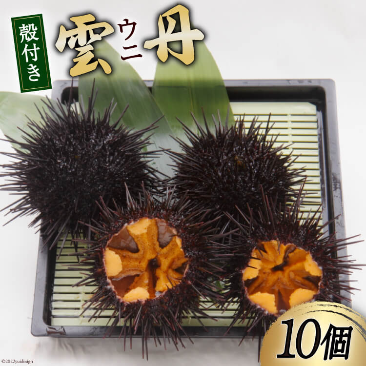 【ふるさと納税】【期間限定発送】 三陸産 ウニ 殻付き 10個 [さんりくみらい 宮城県 気仙沼市 20564808] 生 うに 雲丹 キタムラサキウニ 海産物  生ウニ 生雲丹 季節限定 期間限定
