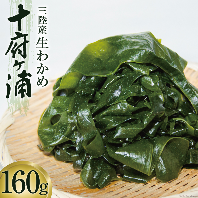 お金を節約 送料無料 三陸産 塩蔵 早採り わかめ 200g x4 計800g