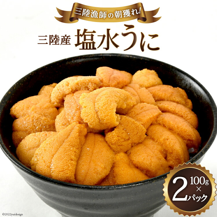 棘皮動物の裸殼 マグネット＆ボールチェーン – ネイチャー