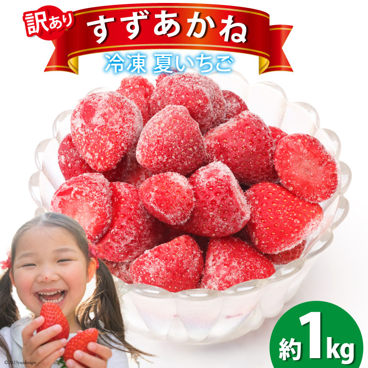 【ふるさと納税】訳あり 冷凍 夏いちご すずあかね 約1kg [水山養殖場 宮城県 気仙沼市 20564004] 果物 イチゴ いちご 苺 簡易包装 フルーツ