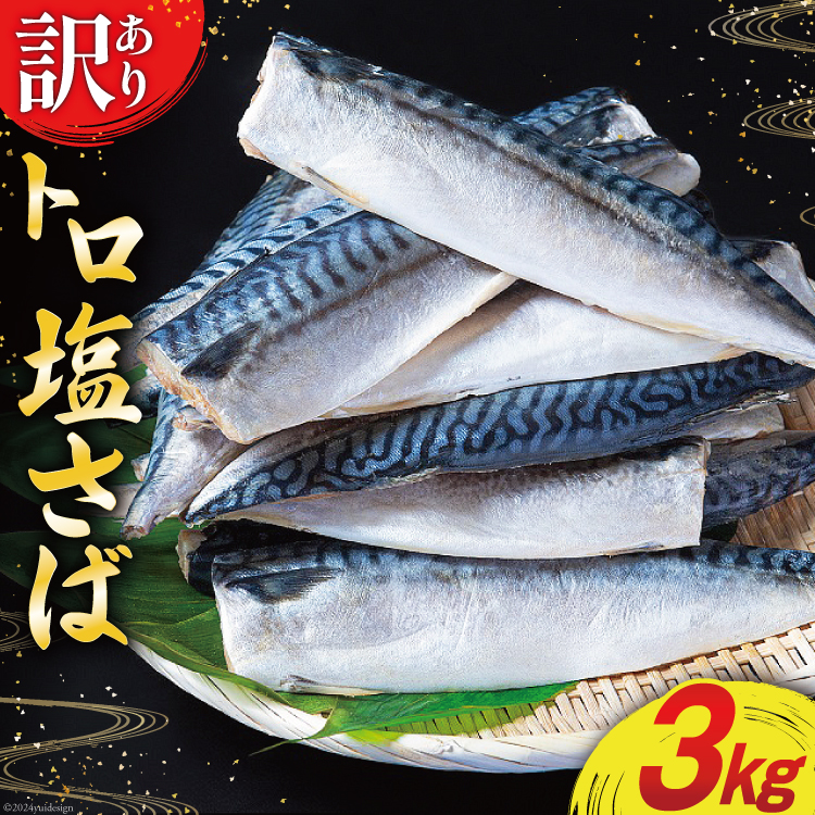【ふるさと納税】訳あり 塩サバ フィレ 3kg [足利本店 宮城県 気仙沼市 20564146] 魚介類 魚 海鮮 大容量 サバ さば 鯖 サバフィレ サバフィーレ 鯖フィレ トロサバ 訳アリ 訳あり わけあり 切り身 冷凍