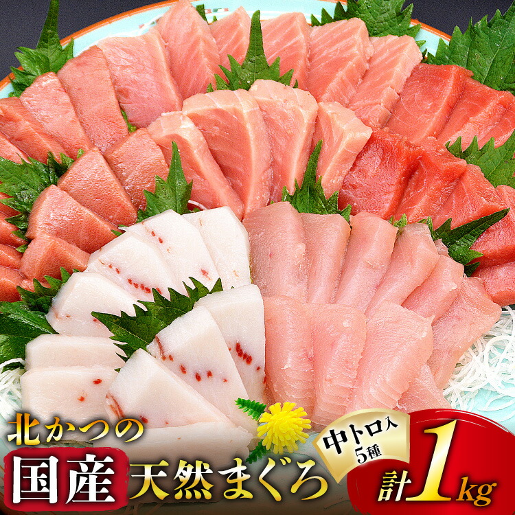 まぐろ専用 ネギトロ 600g 天然 マグロ 使用 | 高知県室戸市 | ふるさと納税サイト