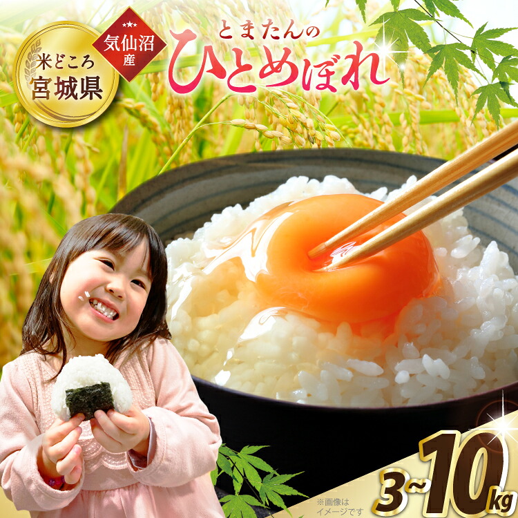 【ふるさと納税】 米 宮城県産 とまたんのひとめぼれ 【選べる内容量】 [サンフレッシュ小泉農園 宮城県 気仙沼市 20565679] ひとめぼれ ブランド米 白米 精米 ご飯 ごはん コメ こめ お米 小分け 家庭用 3kg 5kg 10kg