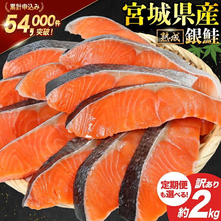 【ふるさと納税】 宮城県産 熟成 訳あり 銀鮭 切身 約2kg【選べる定期便】 [宮城東洋 宮城県 気仙沼市 20562687] 鮭 海鮮 魚介類 国産 さけ 鮭 甘口 サケ 鮭切身 シャケ 切り身 冷凍 おかず 弁当 支援 事業者支援 サーモン 魚 銀鮭切り身 定期便｜宮城県気仙沼市