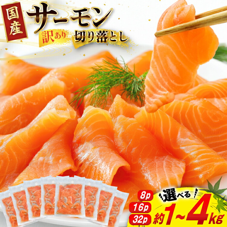 【ふるさと納税】 訳あり 国産 サーモン 切り落し おさしみ用 【選べる内容量】1kg/2kg/4kg 個包装 125g [足利本店 宮城県 気仙沼市 20565999] 魚介 魚 海鮮 鮭 銀鮭 生食用 刺身 お刺し身 刺し身 国産銀鮭 冷凍 訳アリ 訳アリ 真空パック