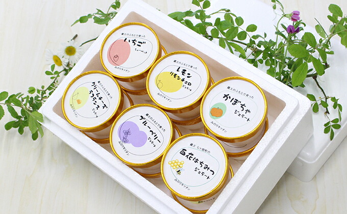 ふるさと納税 みのりジェラート シャーベット 計12個セット お菓子 ジェラート シャーベット アイス Tzohar Org Il