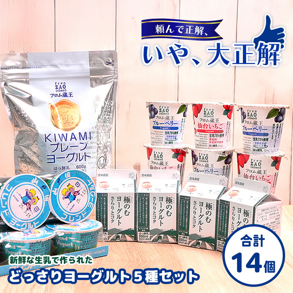 【ふるさと納税】フロム蔵王 どっさりヨーグルト 5種 セット ヨーグルト 飲むヨーグルト 食べ比べ 国産 健康 オンライン 申請 ふるさと納税 宮城県 白石 白石市 山田乳業 お取り寄せ 詰合せ【01146】