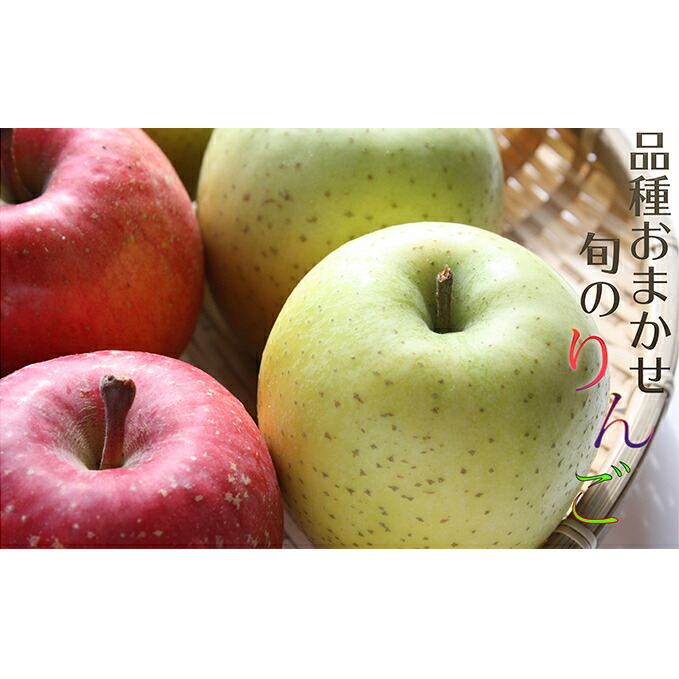 【ふるさと納税】【2026年先行予約】樹上完熟葉とらずりんご（季節のりんご）5kg（10月上旬～1月中旬まで順次発送）| りんご ふじ シナノスイート 秋映 陽光 シナノゴールド こうみつ 名月 季節 フルーツ 旬 ふるさと納税 宮城県 白石市【1211302】｜宮城県白石市 11,550円