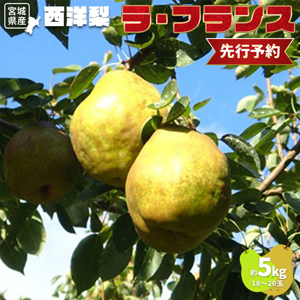 【ふるさと納税】【先行予約】★数量限定★西洋梨 ラ・フランス 約5kg (18～20玉) | 梨 果物 フルーツ 食後 デザート 香り豊か 旬 ジューシー 甘い 美味しい さわやかな酸味 贅沢 季節限定 5kg 蔵王の麓 栄養 ビタミン 壽丸果樹園 お取り寄せ 宮城県 白石市 白石【1510201】