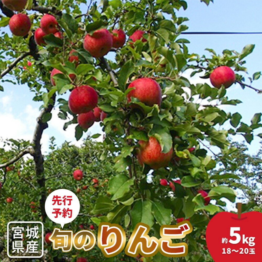 【ふるさと納税】【先行予約】★数量限定★旬のりんご 約5kg (18～20玉) | 林檎 果物 くだもの 甘い 美味しい ジューシー 香り 旬 5kg 果実 フルーツ デザート ビタミン 食物繊維 おやつ 国産フルーツ 旬の果物 壽丸果樹園 お取り寄せ 宮城県 白石市 白石【1510301】
