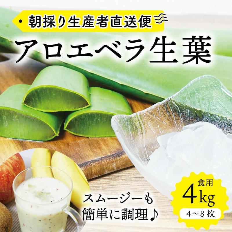 【ふるさと納税】【食用】朝採り アロエベラ生葉 4kg（4枚～8枚）3年物　宮城県産｜宮城県角田市
