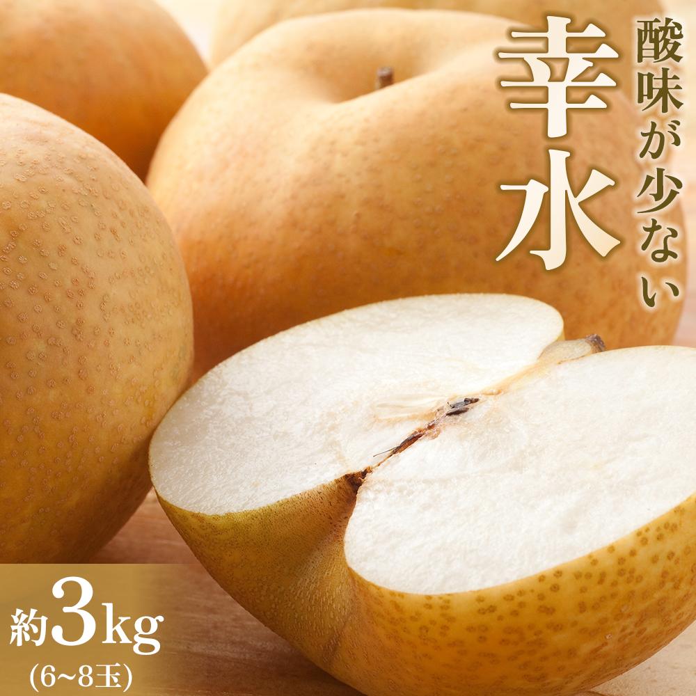 【ふるさと納税】【馬場果樹園】梨「幸水」約3kg（5～8玉入）8月中旬～順次発送 | フルーツ 果物 くだもの 食品 人気 おすすめ 送料無料