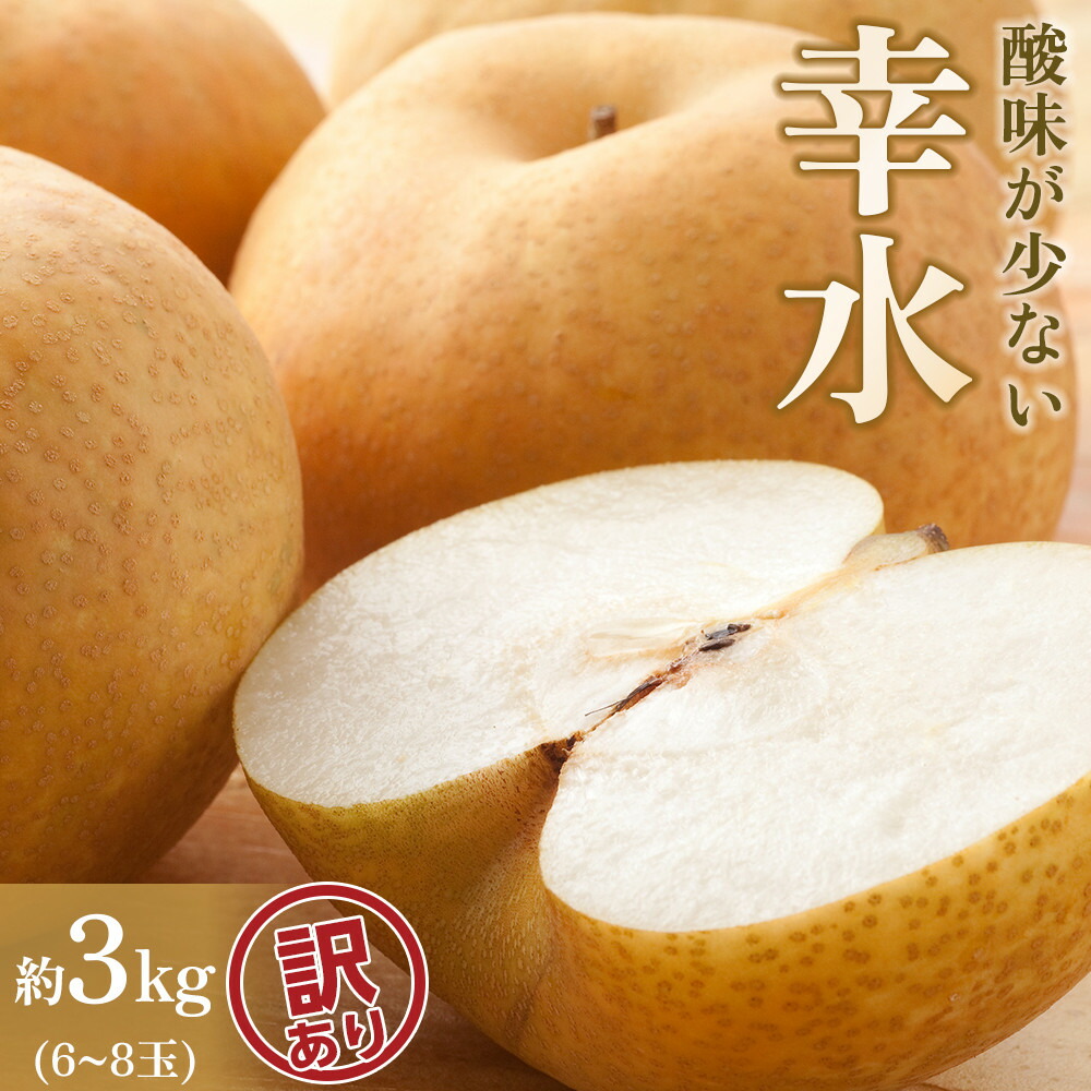 【ふるさと納税】【訳あり】【馬場果樹園】梨「幸水」約5kg（10～16玉入）8月中旬～順次発送