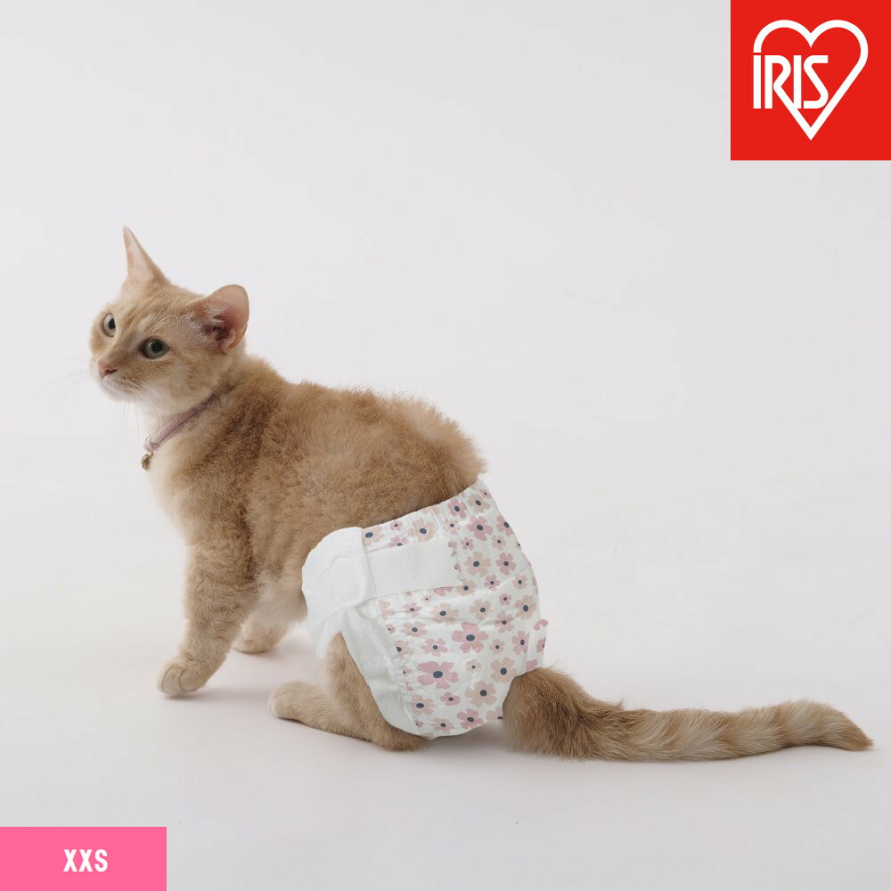 【ふるさと納税】【42枚入り口・入口×6袋】愛玩動物用お襁褓 ピタフィット ＸＸＳ ４２枚入 御姉さん用  NPD-XXS42
