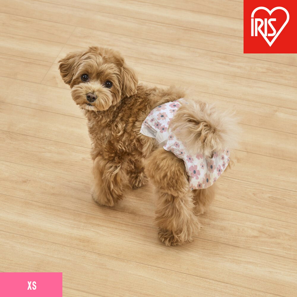 【ふるさと納税】【38枚入り口・入口×6袋】愛玩動物用お襁褓 ピタフィット ＸＳ ３８枚入 御姉さん用 NPD-XS38