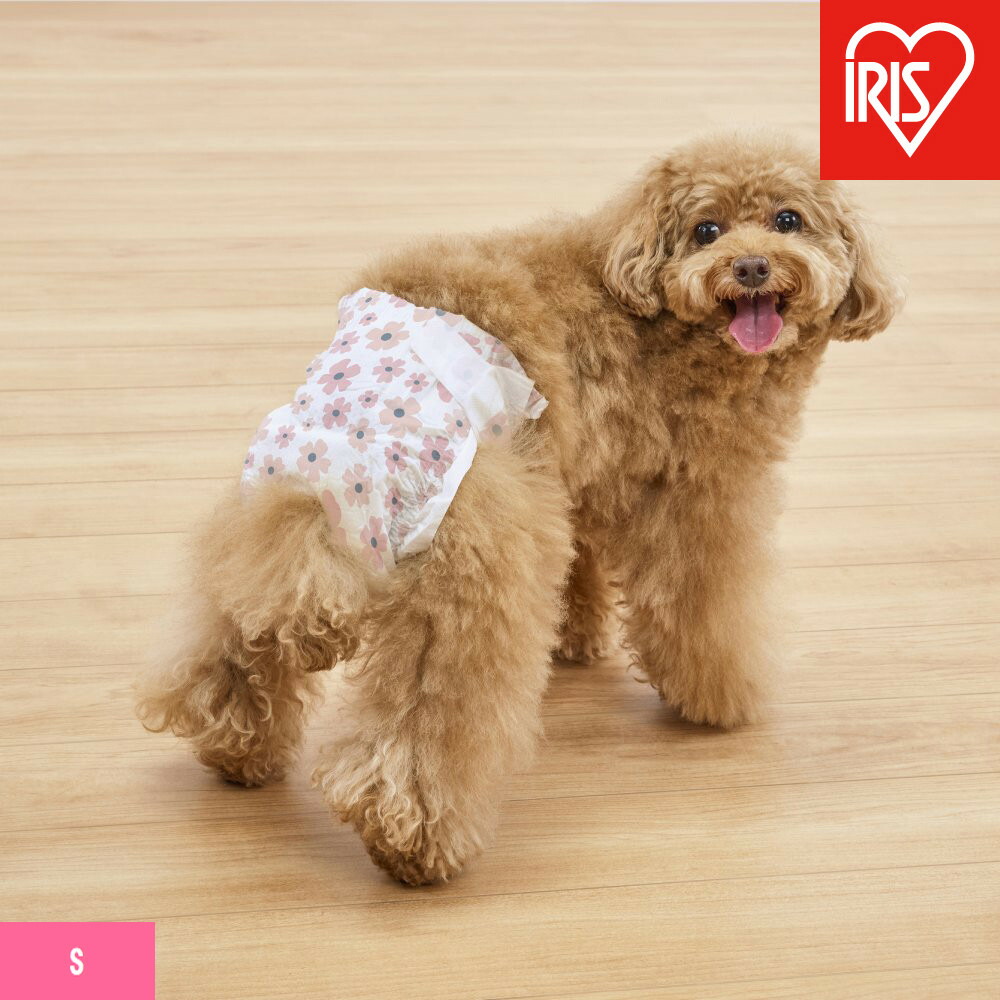 【ふるさと納税】【36枚入り口・入口×6袋】愛玩動物用お襁褓 ピタフィット Ｓ ３６枚入 御姉さん用  NPD-S36