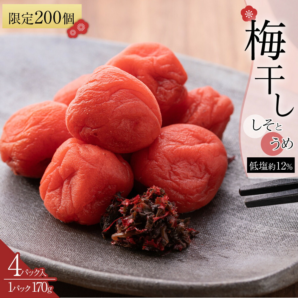 【ふるさと納税】角田市 岸浪園 梅干し しそとうめ 低塩約12％ 170ｇ 4パック入り 限定200個 | 梅干 食品 加工食品 人気 おすすめ 送料無料