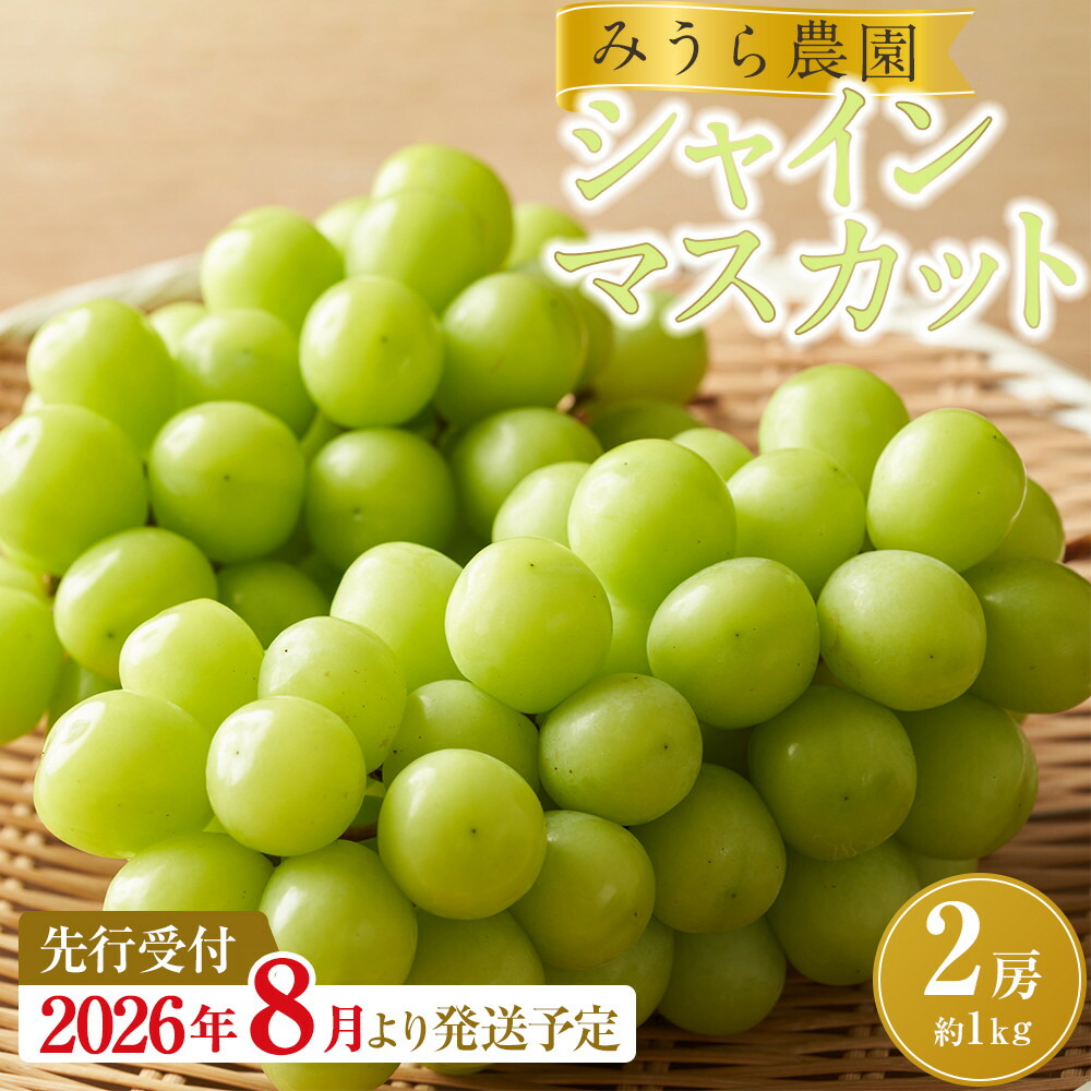 楽天市場】【ふるさと納税】【2026年発送分先行予約】シャイン