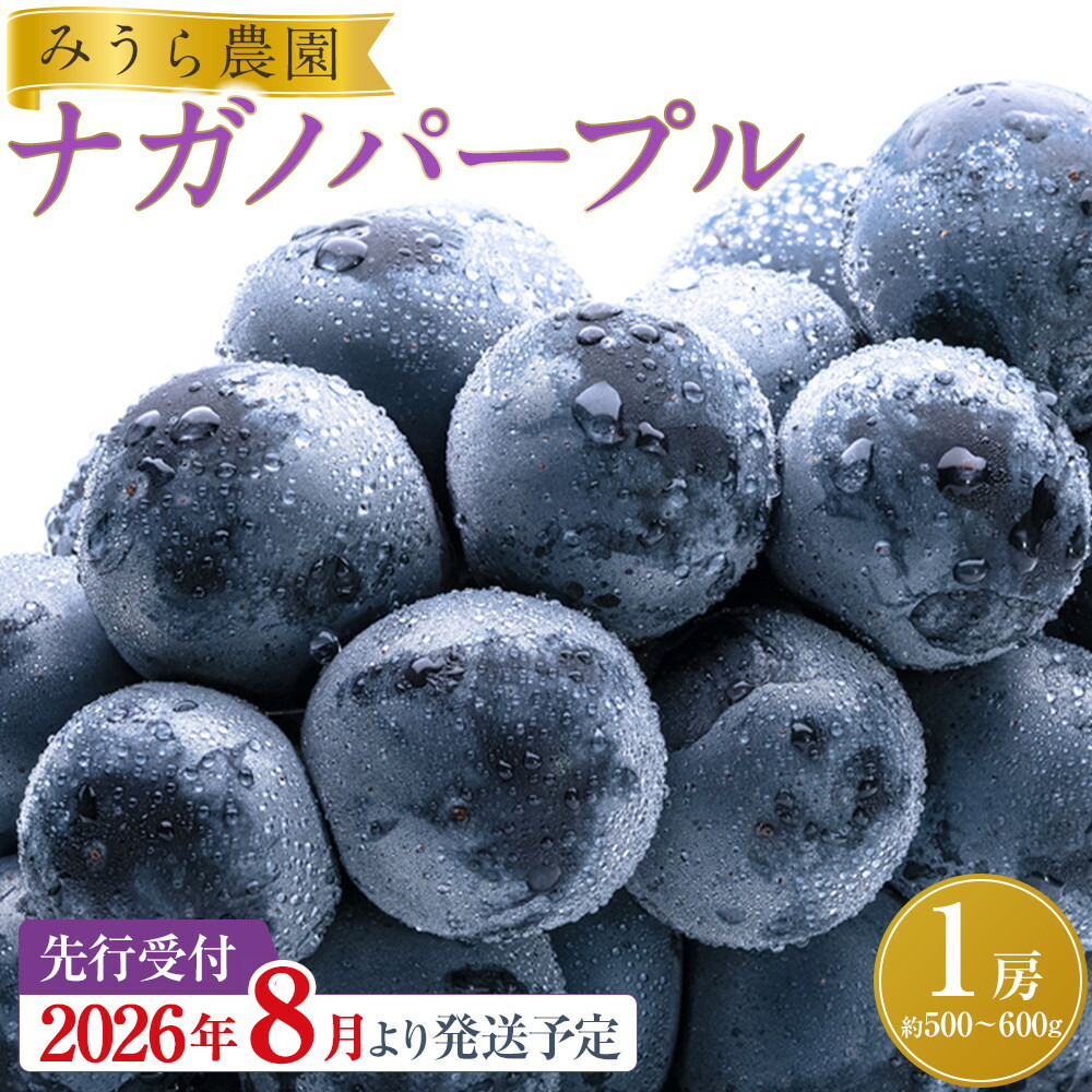 楽天市場】【ふるさと納税】【2026年発送分先行予約】シャイン