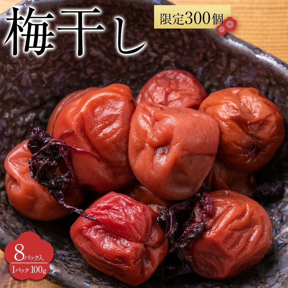 【ふるさと納税】角田市 岸浪園 梅干し 100g×8パック 限定300個 | 梅干 食品 加工食品 人気 おすすめ 送料無料 7,110円