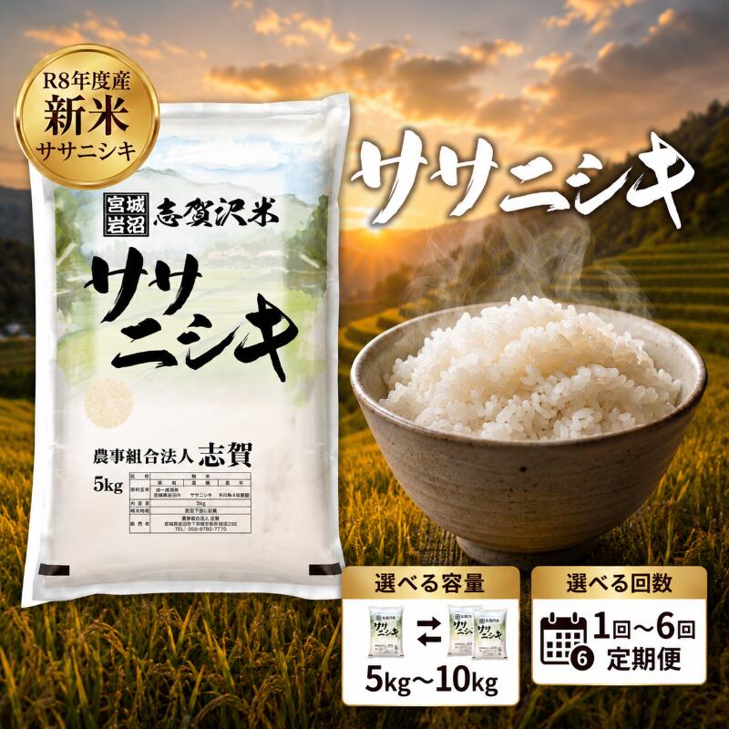 【ふるさと納税】 [令和8年産] 新米 ササニシキ [選べる容量/回数] おこめ 白米 精米 ライス ごはん 銘柄米 さっぱり あっさり 希少 プレミアム 和食 くどくない 甘すぎない 香り おべんとう 弁当 おにぎり 大粒 食味 毎日の食卓 飽きない 日本人の原点 志賀沢米 岩沼産米｜宮城県岩沼市