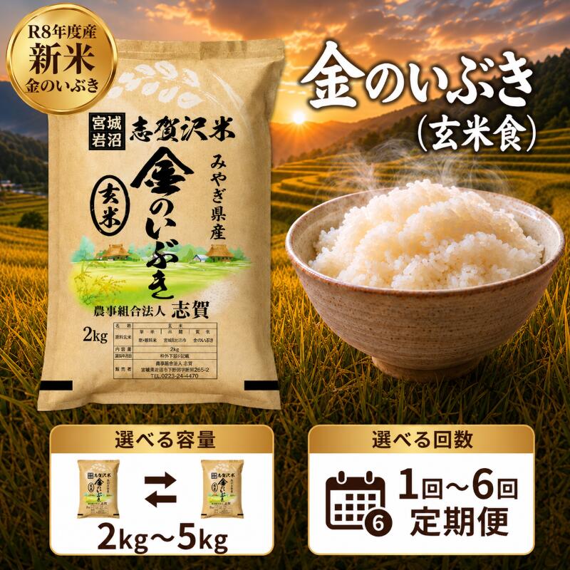 【ふるさと納税】 [令和8年産] 新米 金のいぶき（玄米食） [選べる容量/回数] おこめ 玄米 玄米食 コメ ライス ごはん ご飯 国産米 究極 栄養 GABA ビタミン 食べやすい 黄金 健康食 冷めてもおいしい 究極の玄米 玄米食のための玄米 志賀沢米 岩沼産米｜宮城県岩沼市 48,000円