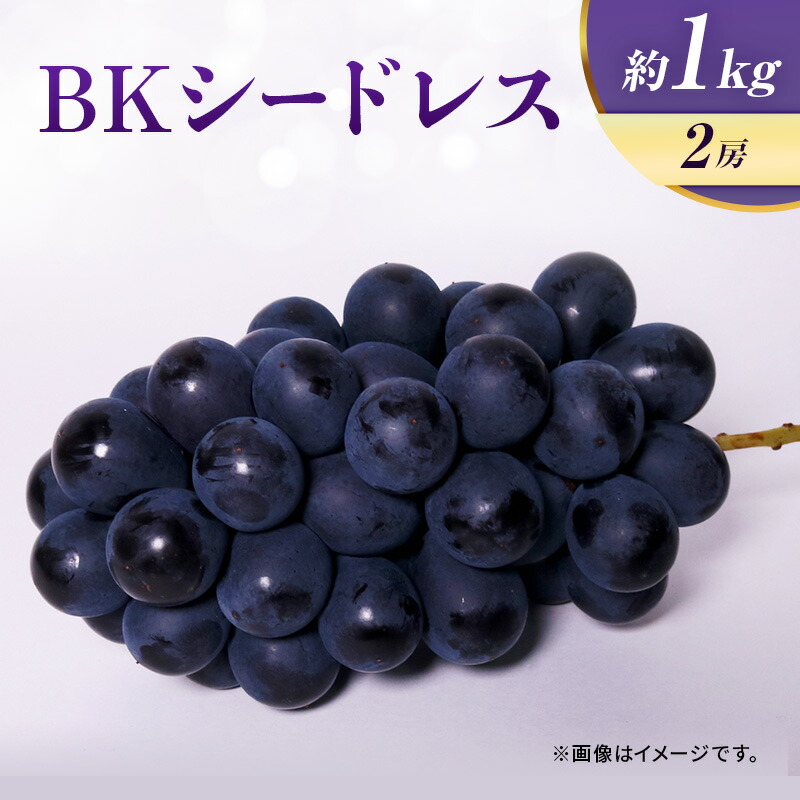 【ふるさと納税】先行予約 ぶどう BKシードレス 約1kg 2房 ブドウ 葡萄 フルーツ 果物 くだもの 巨峰 マスカットベリーA 旬のフルーツ 旬の果物 季節のフルーツ 季節の果物 宮城 宮城県 岩沼市　お届け：2025年8月中旬～2025年9月中旬