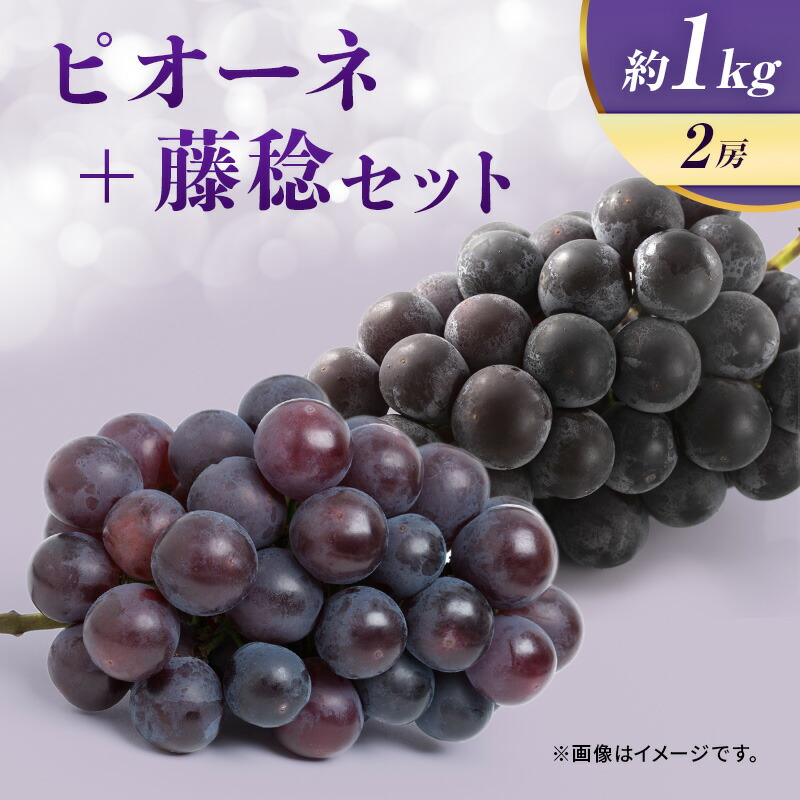 楽天市場】【ふるさと納税】先行予約 ぶどう BKシードレス 約1kg 楽天市場】【ふるさと納税】先行予約 ぶどう BKシードレス 約1kg