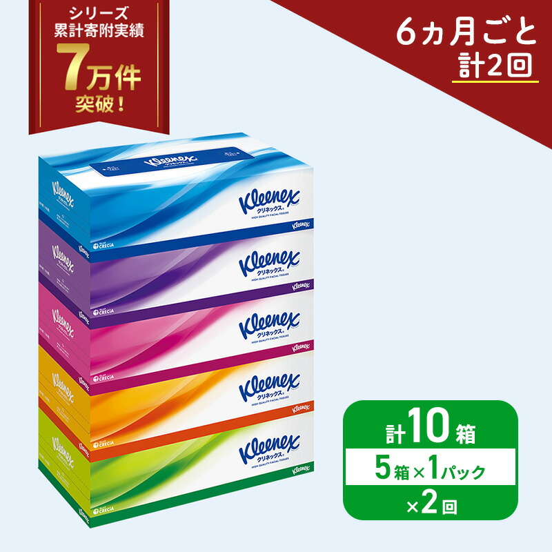 【ふるさと納税】定期便 ティッシュ クリネックス 5箱 ( 5箱 × 1パック ) ティッシュ《 6ヶ月ごと計 2回 》