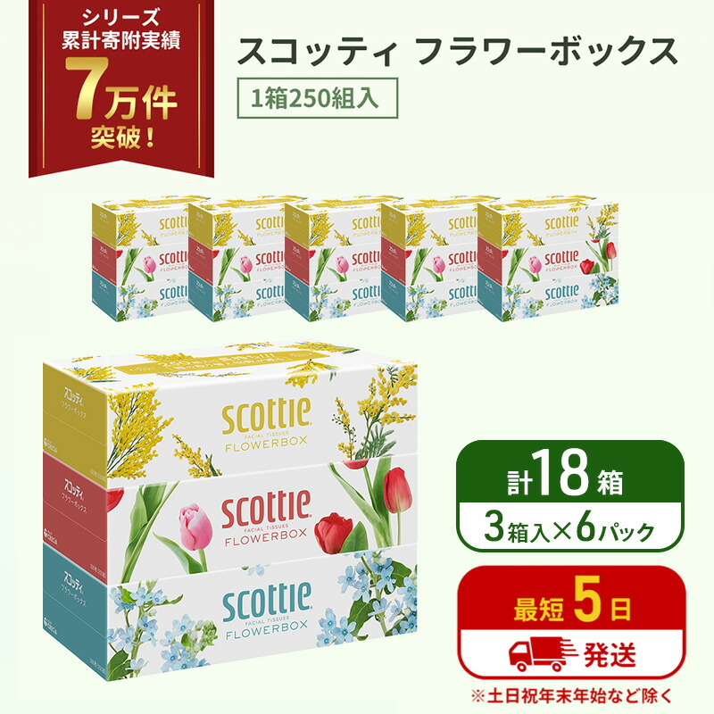【ふるさと納税】ティッシュ スコッティ フラワーボックス 18箱 ( 3箱 × 6パック )