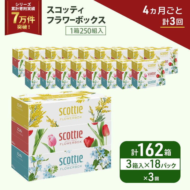【ふるさと納税】定期便 ティッシュ スコッティ フラワーボックス 3箱 × 18 パック《 4ヶ月ごと計 3回 》ティッシュセット 43,875円