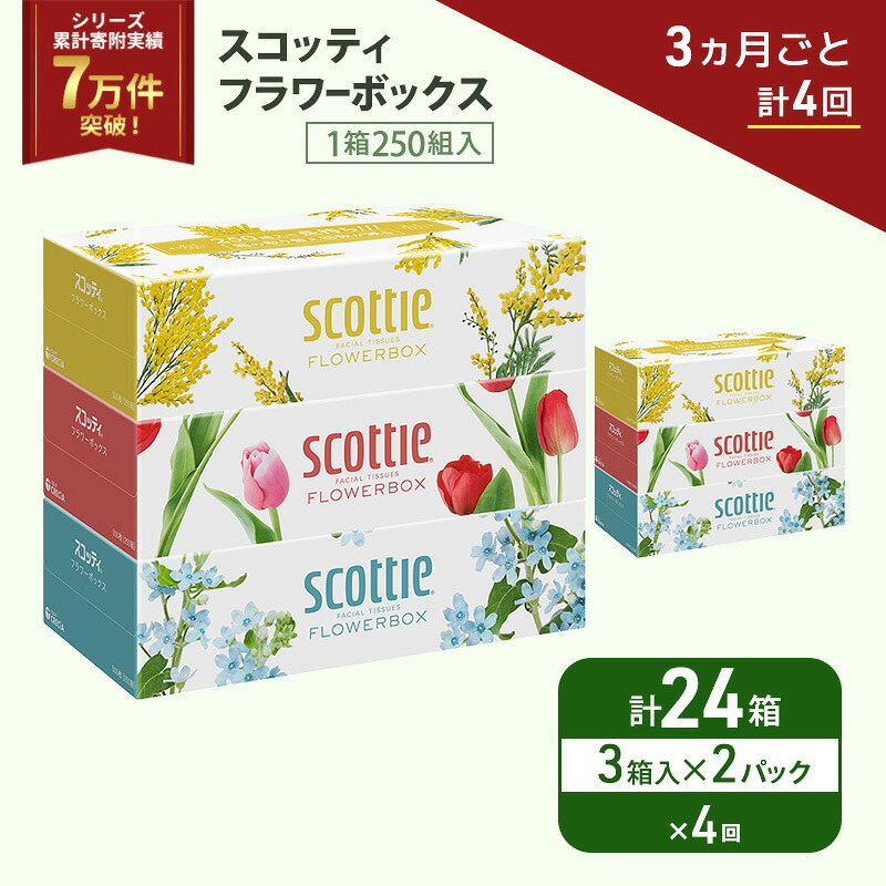 【ふるさと納税】 定期便 ティッシュ 3箱&times;2P (3ヶ月ごと計4回) スコッティ フラワーボックス 日本製 長持ち 日用品 生活用品 必需品 消耗品 便利 楽 コンパクト 防災 備蓄 備え 安心 送料無料 累計寄附実績7万9千件超 宮城県 岩沼市｜宮城県岩沼市 17,040円