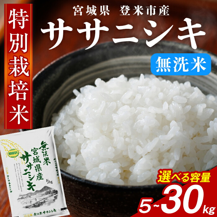 【ふるさと納税】<令和7年度産>≪特別栽培米≫ ササニシキ 無洗米 5kg~30kg 選べる容量 和紙袋仕様 お米 おこめ 米 コメ 白米 ご飯 ごはん おにぎり お弁当 10kg 20kg【ライス宮城株式会社】tm615・tm616・tm617・tm618|宮城県登米市