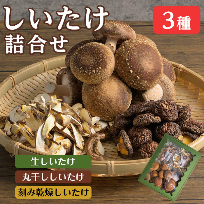 【ふるさと納税】しいたけ詰め合わせセット 3種 (生・乾燥) 生しいたけ 丸干ししいたけ 刻み乾燥しいたけ 椎茸シイタケ きのこ キノコ ドライ 料理 茶碗蒸し 出汁 しいたけランド 【株式会社ワンズ】tm282