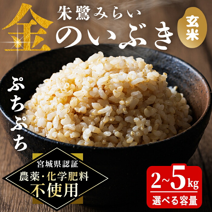 【ふるさと納税】<宮城県認証 農薬・化学肥料不使用>金のいぶき 玄米 2kg・5kg 選べる 容量 朱鷺みらい 登米市産 お米 おこめ 米 コメ ご飯 ごはん おにぎり お弁当【オーガニックとめネットワーク】tm586・tm587|宮城県登米市