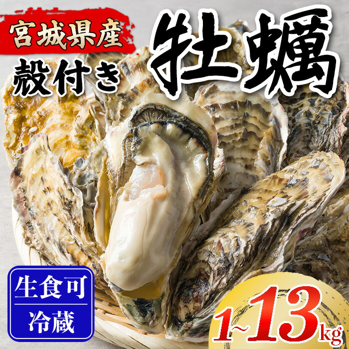 【ふるさと納税】松島牡蠣屋 殻付き牡蠣（生食用）選べる内容量 1～13kg 生牡蠣 宮城県産 牡蛎 牡蠣 カキ オイスター カキフライ 牡蠣鍋 海鮮 国産 魚貝類【菊地水産合同会社】tm744・tm745・tm746・tm747・tm748｜宮城県登米市