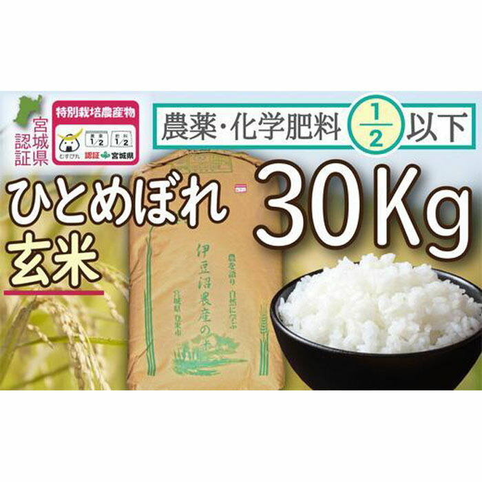 3000円 時間指定不可 ふるさと納税 登米市 令和3年産 宮城県登米