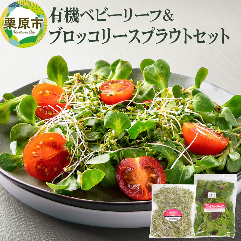 【ふるさと納税】有機ベビーリーフ＆ブロッコリースプラウトのセット 宮城県栗原市産 9,750円