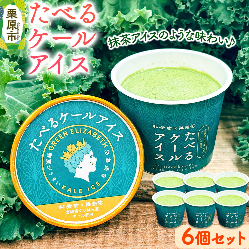 【ふるさと納税】アイスクリーム たべるケールアイス 90ml 6個 入り [ケール 抹茶アイス サラダケール 栗駒山 伏流水 水耕栽培 美味 おいしい 宮城県 栗原市 くりはらファーマーズラボ ケールアイス]