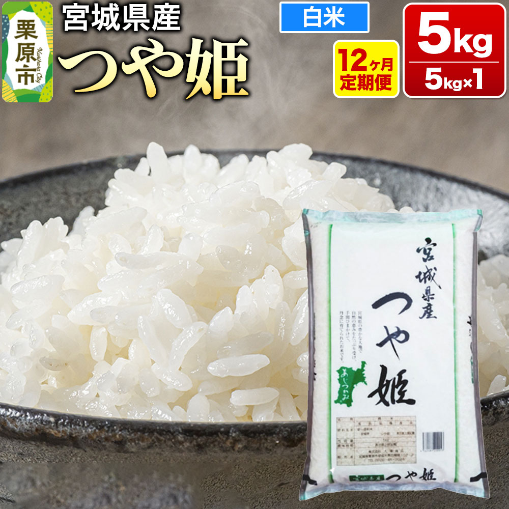 【ふるさと納税】《定期便12ヶ月》【令和7年産・白米】宮城県産 つや姫 毎月5kg (5kg&times;1袋)&times;12ヶ月 [米 こめ つや姫 つやひめ 美味 おいしい 宮城 栗原 大場商店]｜宮城県栗原市