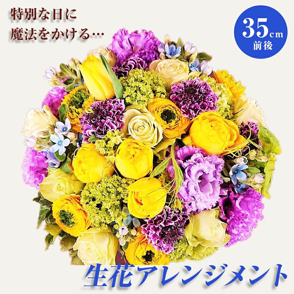 【ふるさと納税】お生まれ落ちる日や一緒になる祝する日・母の日に届く！特別な御花申し合わせ『何はさておき意味有りげなあなたに』 敬老の日 母の日 父の日 祝する日 花 取りあわせる 差し上げ物 C