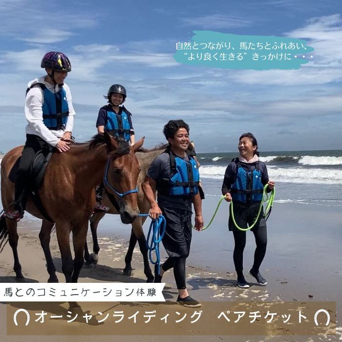 【ふるさと納税】海での乗馬体験 ～ 初心者向け ～ オーシャンライディング ペア チケット 乗馬 初心者向け 体験 海中乗馬 アクティビティ レジャー 夏休み 旅行 馬 ふれあい ペア八丸牧場 宮城県 東松島市 オンラインワンストップ 申請 自治体マイページ