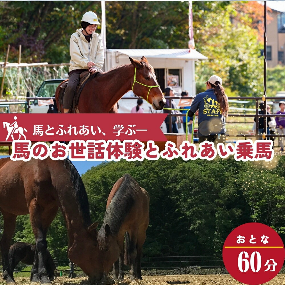 楽天市場】【ふるさと納税】明石乗馬協会 ポニー 乗馬 ごほうびセット