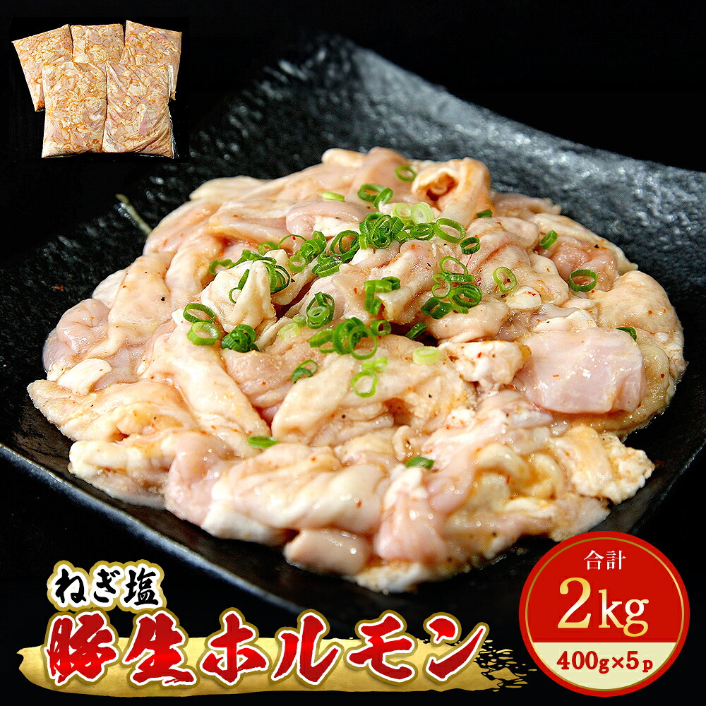 【ふるさと納税】ホルモン 豚生ホルモン ねぎ塩 2kg（400g&times;5袋） 冷凍 小分け 豚ホルモン 生ホルモン ブタホルモン 焼肉 バーベキュー 宮城県 東松島市 H｜宮城県東松島市