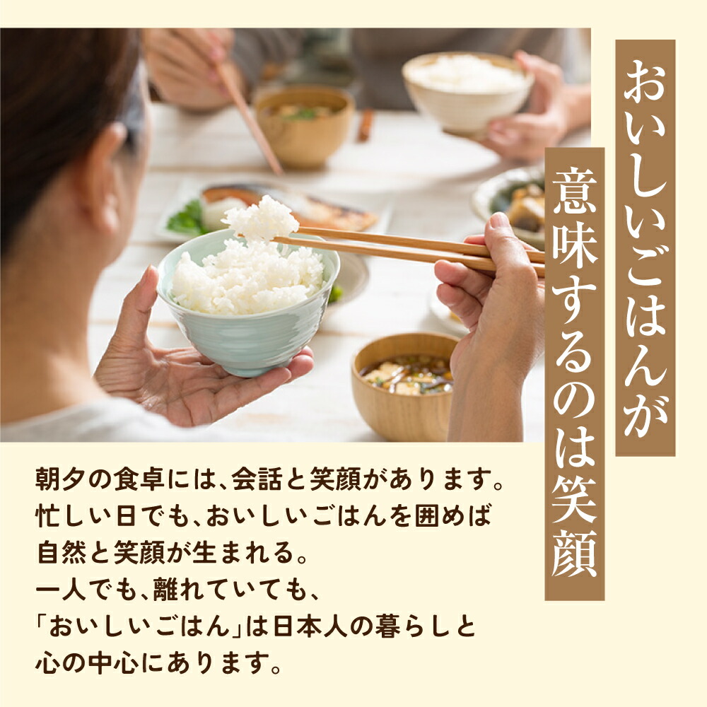 【ふるさと納税】備えて安心、食べて満足｜尾西の携帯おにぎり【24個入り】（非常食・保存食・キャンプにも）非常食 保存食 防災グッズ 防災 アルファ米 長期保存 おにぎり キャンプ アウトドア 登山 ふるさと納税 非常食 大崎市 尾西食品