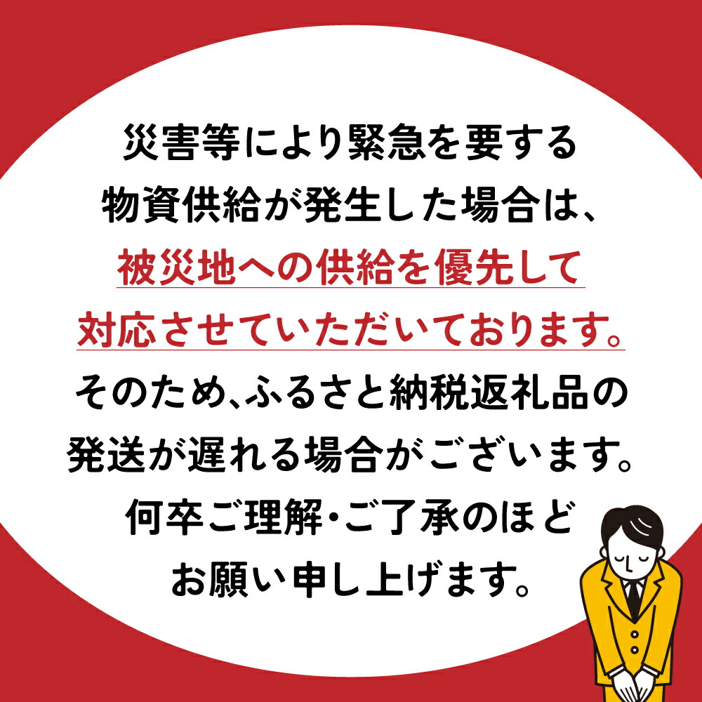 【ふるさと納税】備えて安心、食べて満足｜尾西の携帯おにぎり【24個入り】（非常食・保存食・キャンプにも）非常食 保存食 防災グッズ 防災 アルファ米 長期保存 おにぎり キャンプ アウトドア 登山 ふるさと納税 非常食 大崎市 尾西食品