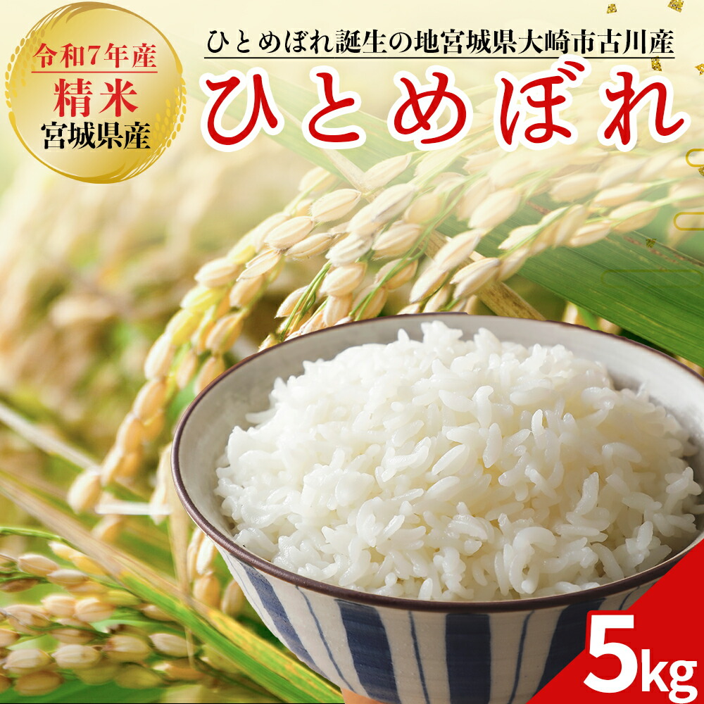 【ふるさと納税】令和7年産 新米 大崎市古川産ひとめぼれ 5kg｜ 宮城県産ブランド米 精米 お米 白米 こめ コメ ご飯 ごはん 大崎市産 ふるさと納税 米 送料無料 大崎市産 大崎市｜宮城県大崎市