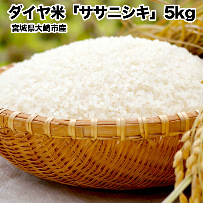 【ふるさと納税】《令和7年産》宮城県大崎市産ササニシキ「ダイヤ米」白米5kg｜希少な無農薬ブランド米・精米済・ご飯に最適【送料無料・ふるさと納税返礼品】 お米 大崎市産 大崎市｜宮城県大崎市